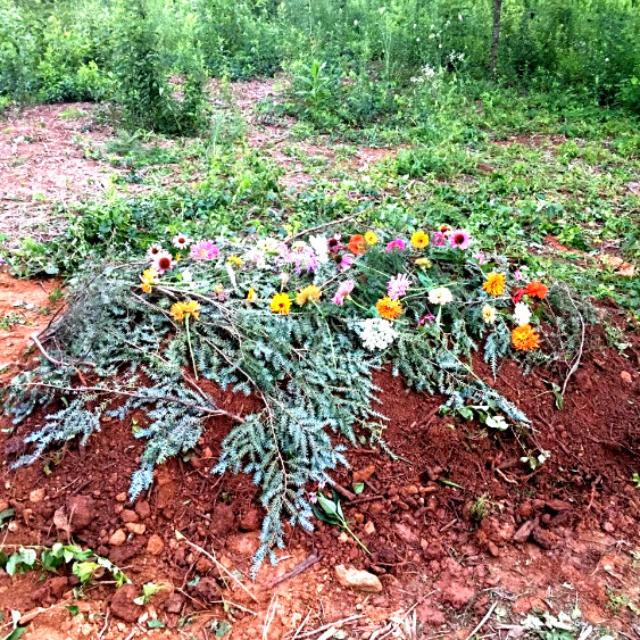 Grave adorned with pine branches and flowers