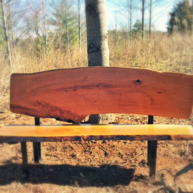 Memorial bench loacated on the Southeastern Meadow