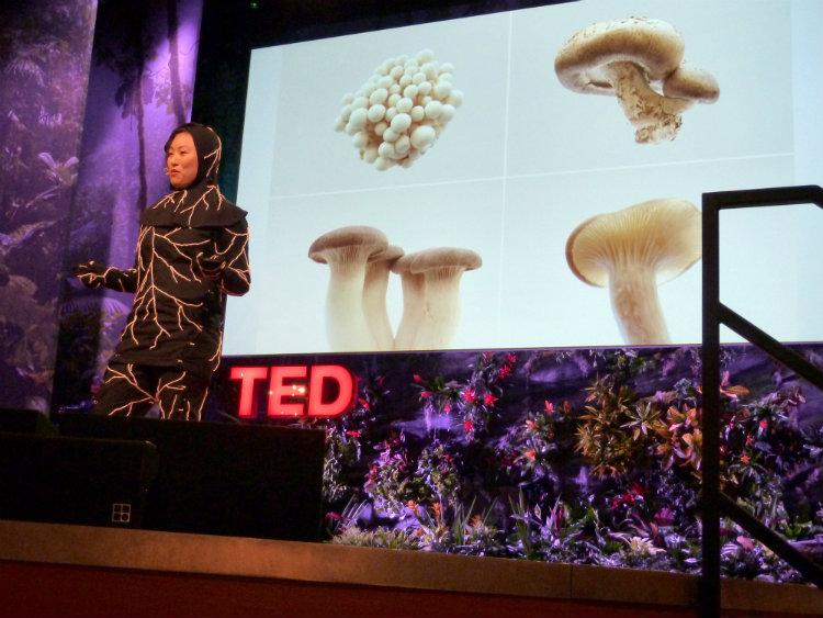 mushroom suite worn at TED talk