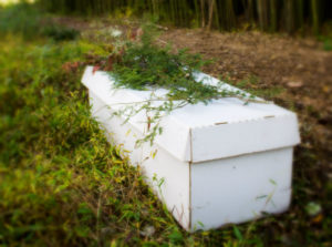 Biodegradable Burial Containers For Green Burial: Coffins & Caskets ...