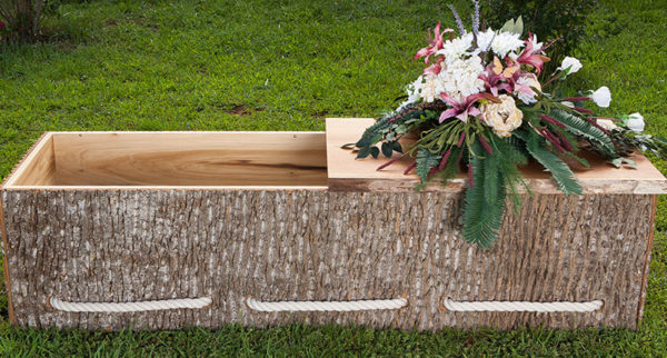 wooden coffin with bark on the outside
