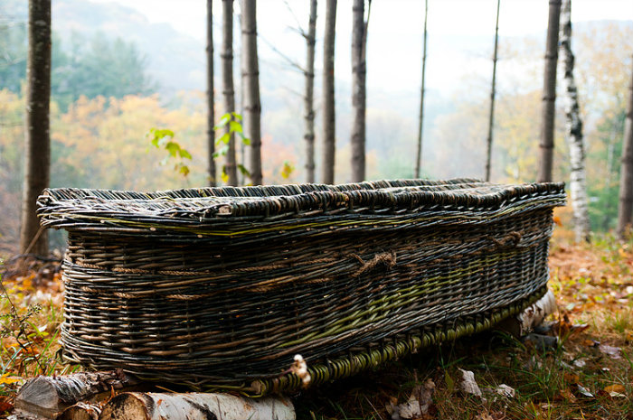 woven casket lying in the woods