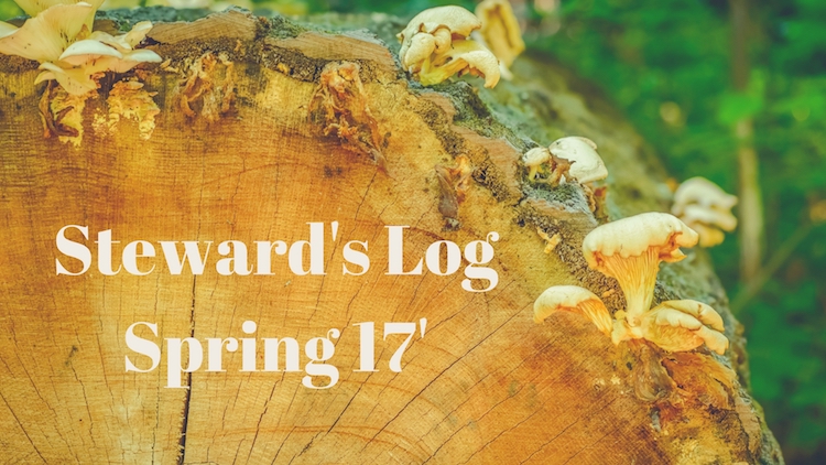 log with mushrooms growing on it with the text "Steward's Log, Spring 17'