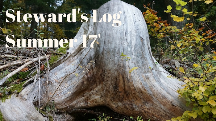 Closeup of log with text overlay reading "Steward's Log Summer 17'"