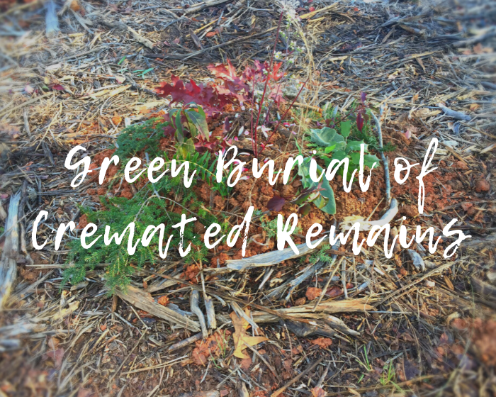Picture of buried cremains with text "green burial of cremated remains" on top