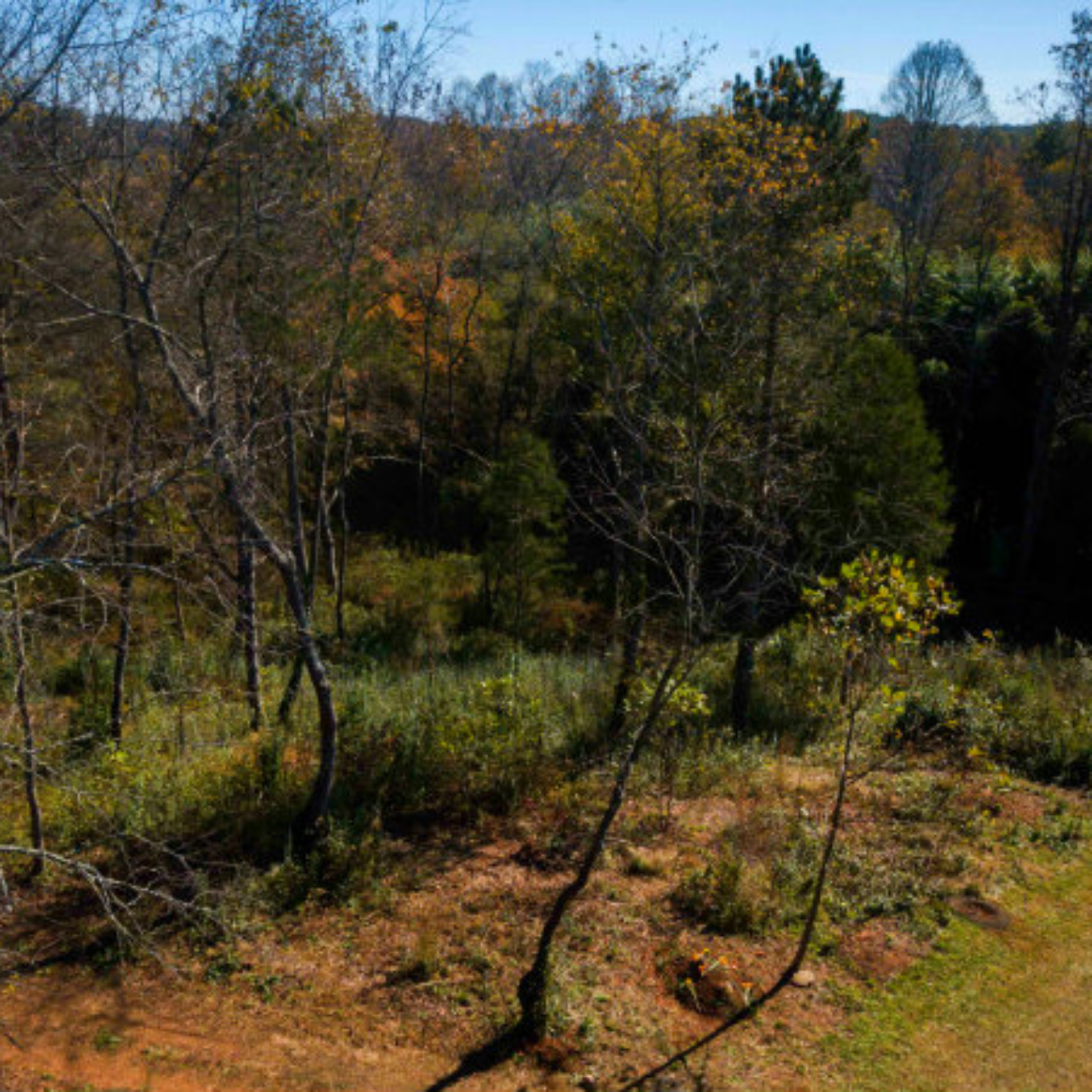 Sanctuary Habitats - Carolina Memorial Sanctuary