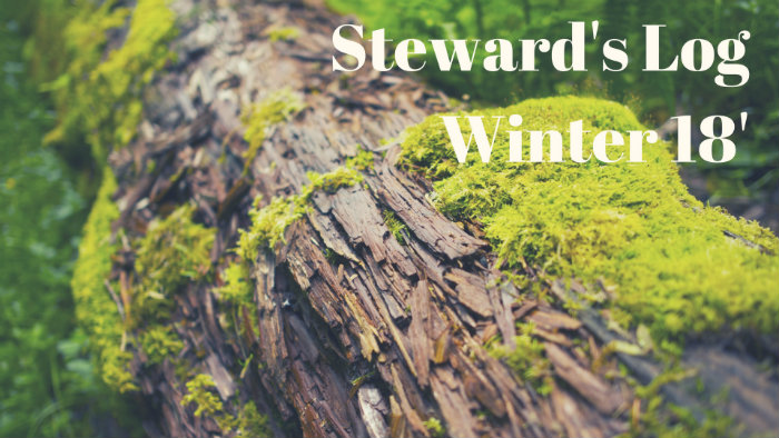 Log with moss on it and the words "Steward's Log, Winter 18'"
