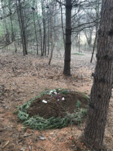 Natural burial in the woods