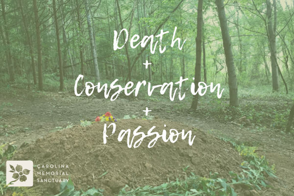 Pic of natural burial grave in forest with text "death+conservation+passion."