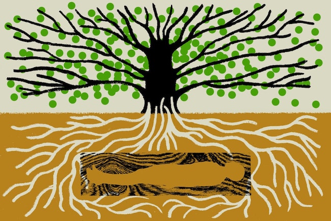 illustration of a person in a box, under a tree, within the roots.