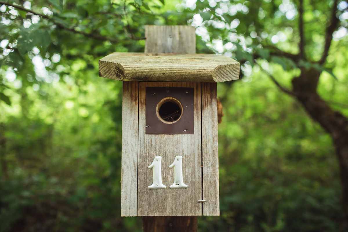 closeup of birdbox with the number 11 on it