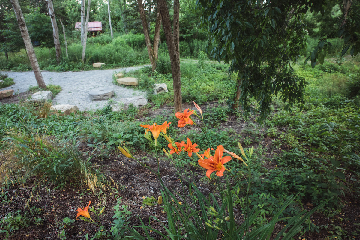 orange lillies in the foreground with the entry area in the background