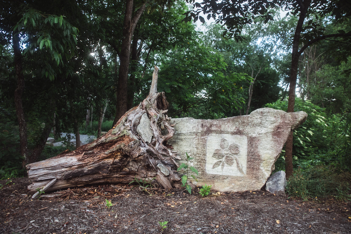 large rock with logo carved in it attached to a tree stump