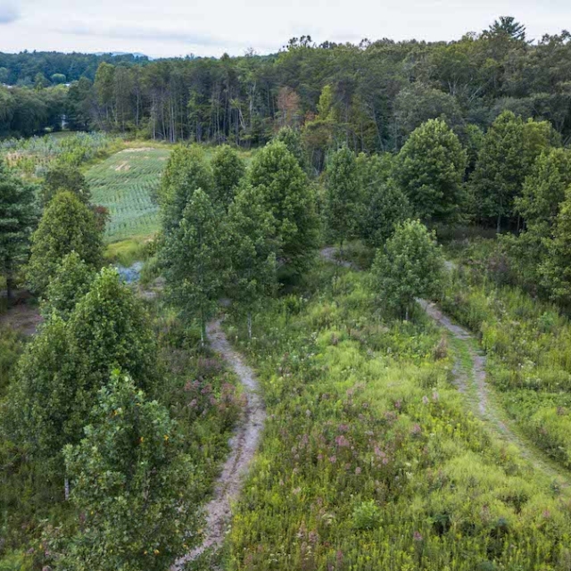aerial view of Carolina Memorial Sanctuary showing the meadow and trees