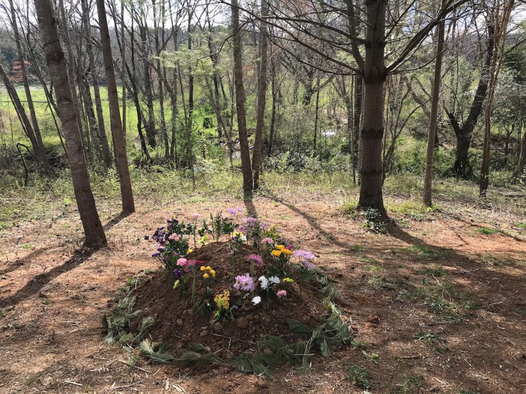 grave with flowers sticking out of it with trees in the background