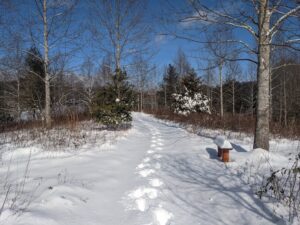Middle Way path at CMS during the winter.