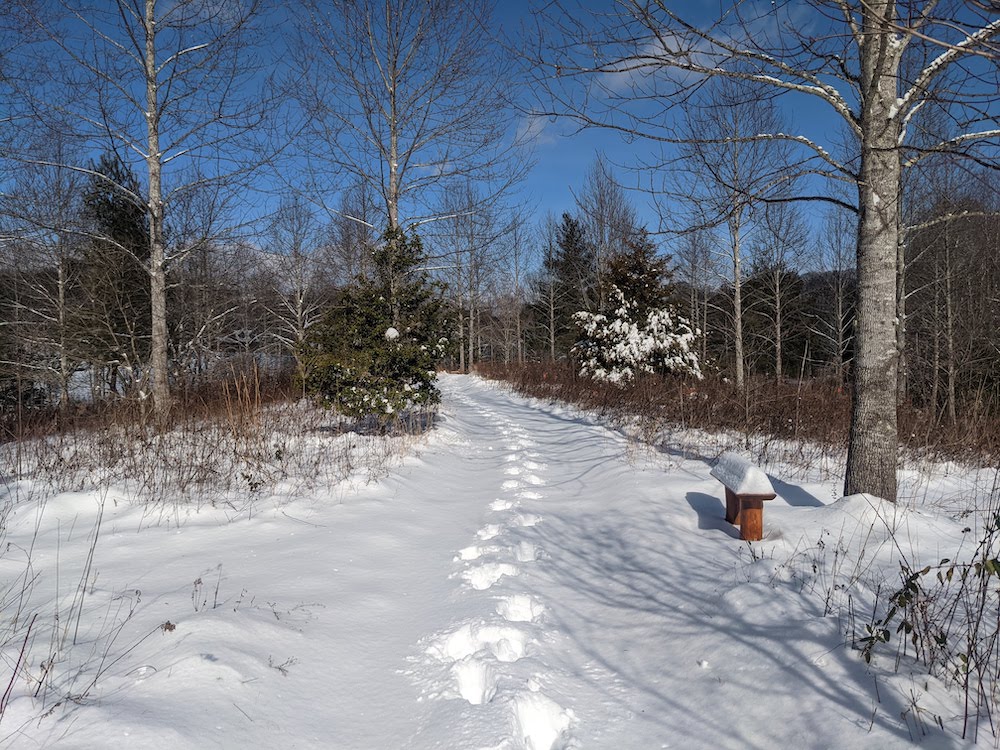 Middle Way path at CMS during the winter.