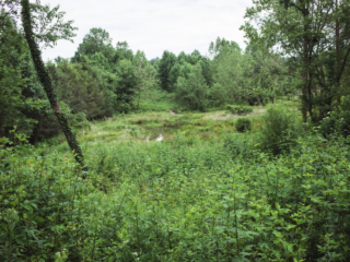 View of wetland from above and far away