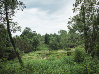 View of wetland from afar and above